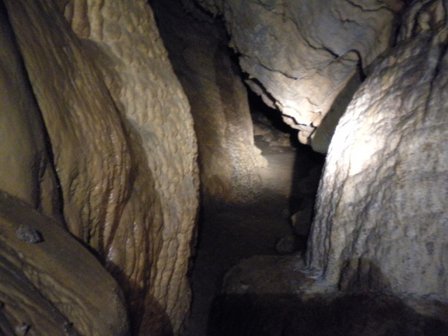 dscn0875.jpg