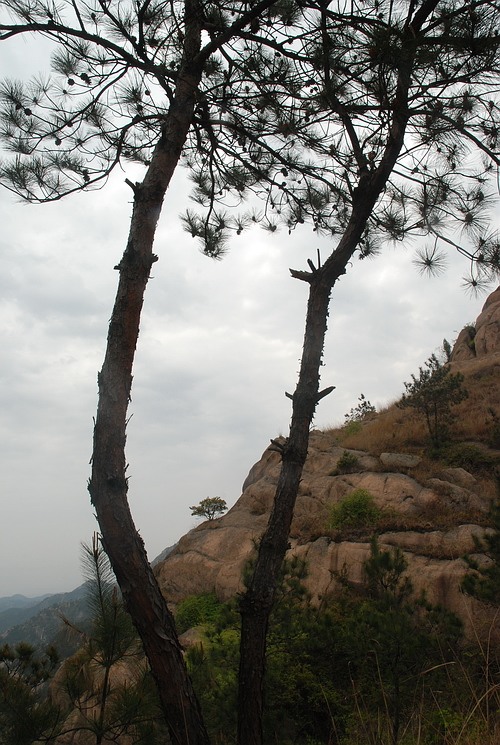 dsc_0069.jpg