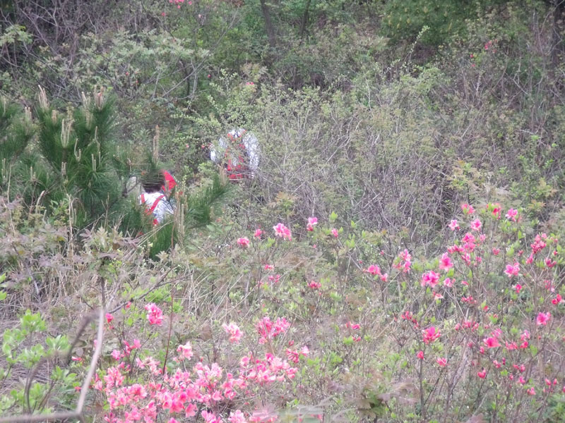 2010.4.17   093.jpg