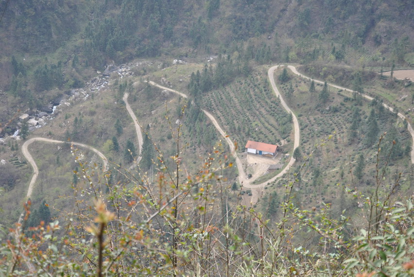 p 242.jpg