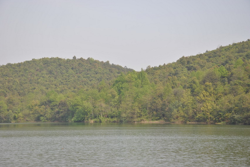 p 296.jpg