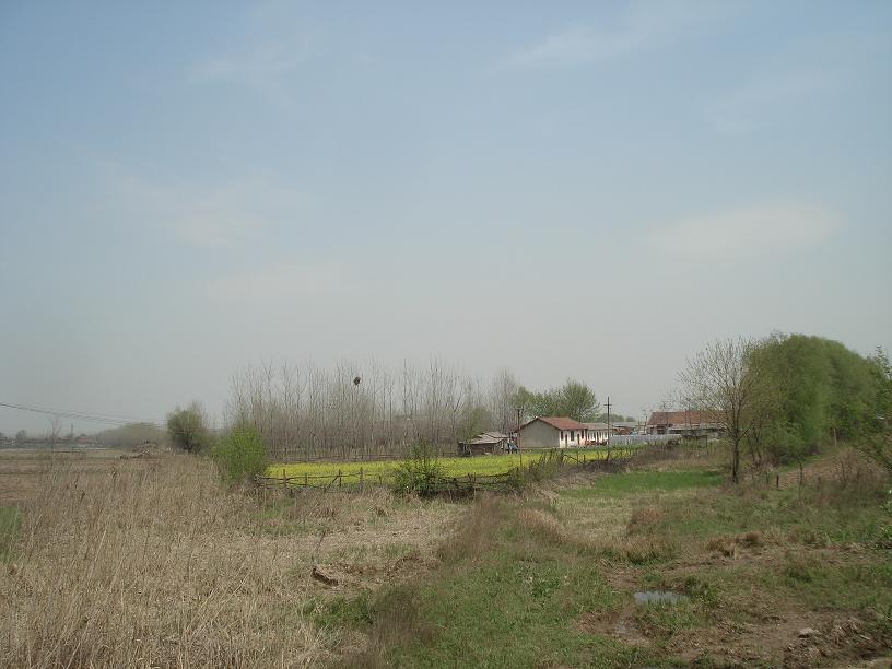 23464049.jpg