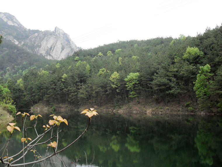neo_img_sdc16035.jpg
