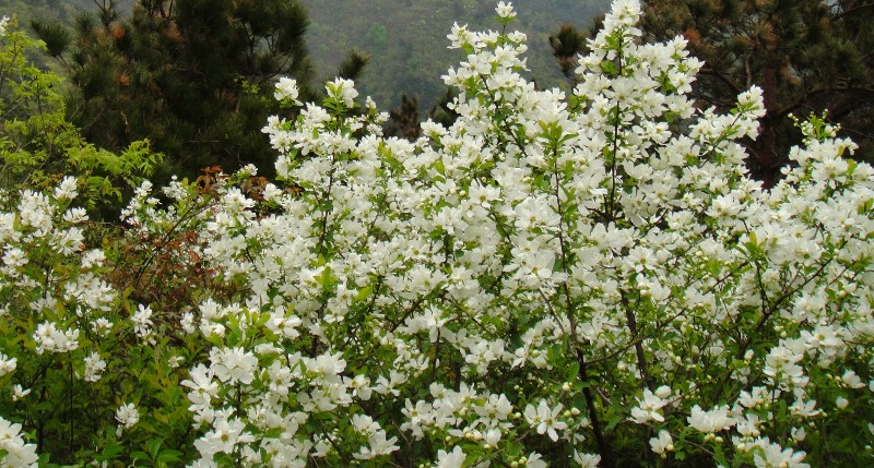 dsc00739_.jpg