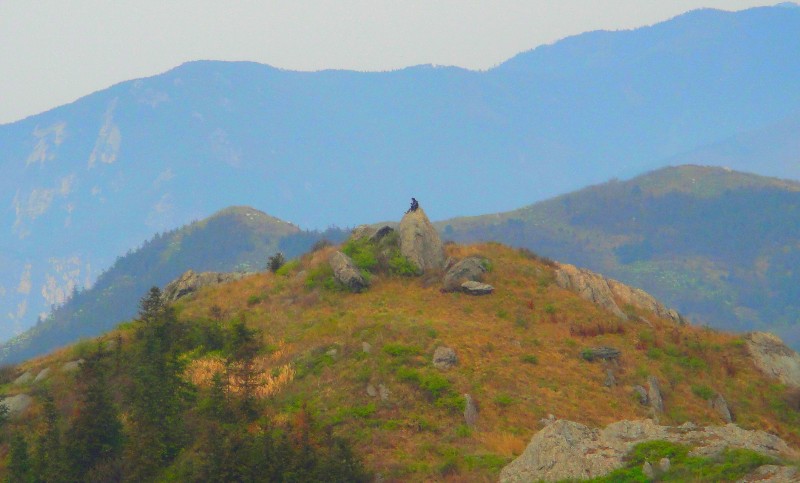 dsc00746_.jpg