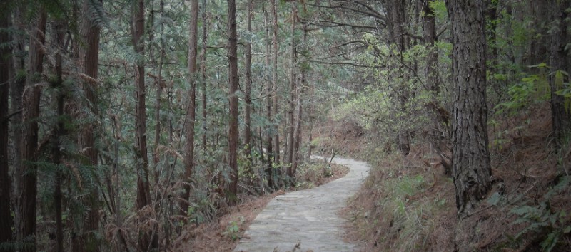 dsc00737_.jpg