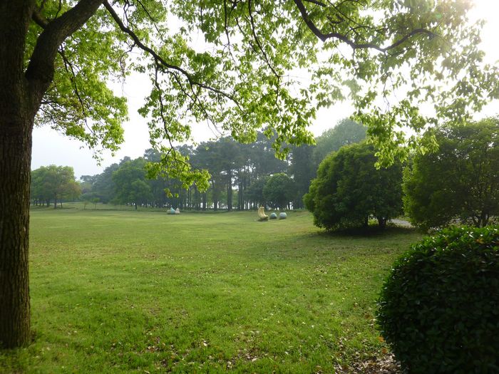 p1020813.jpg