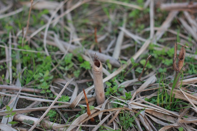 img5.gif
