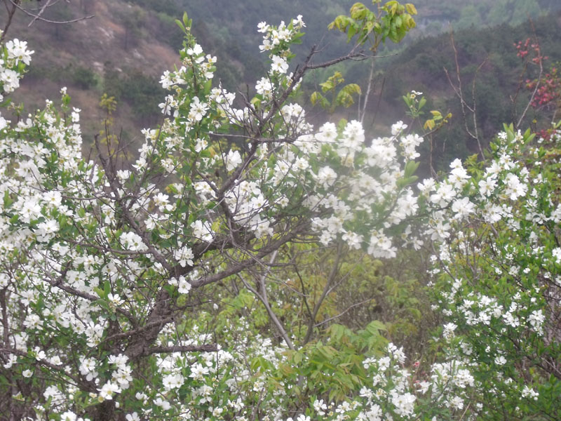 2010.4.17   153.jpg