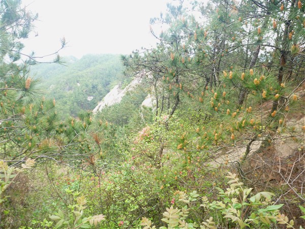 p1000226_.jpg