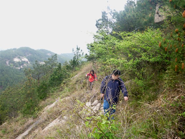 p1000232_.jpg