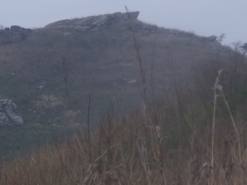2010.4.17   165.jpg