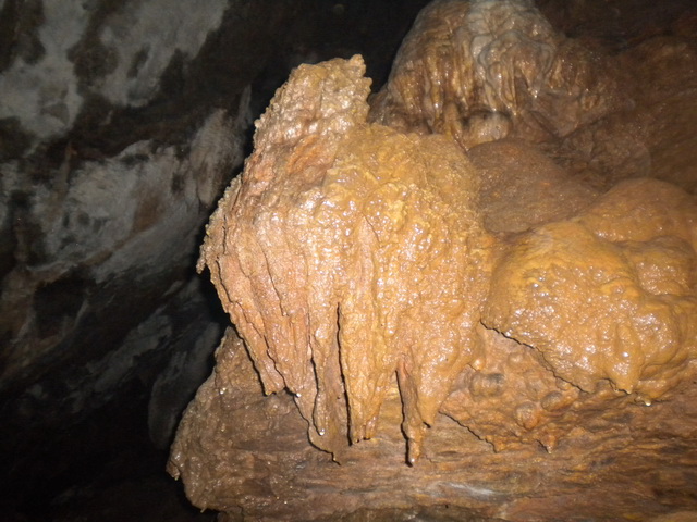 dscn0937.jpg
