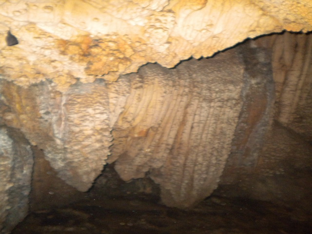 dscn0944.jpg