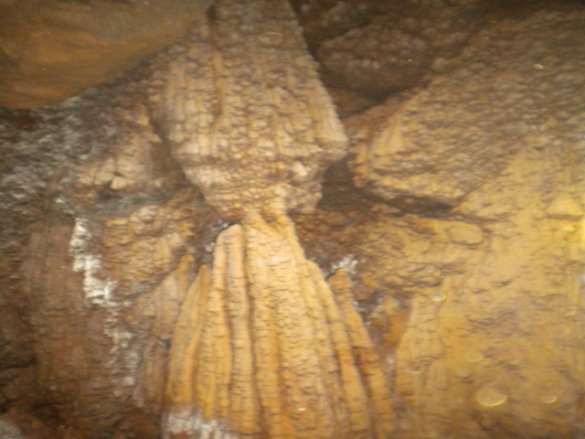 dscn0957.jpg