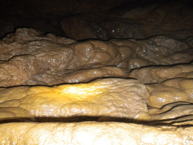 dscn0966.jpg
