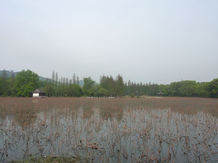 p1020818.jpg