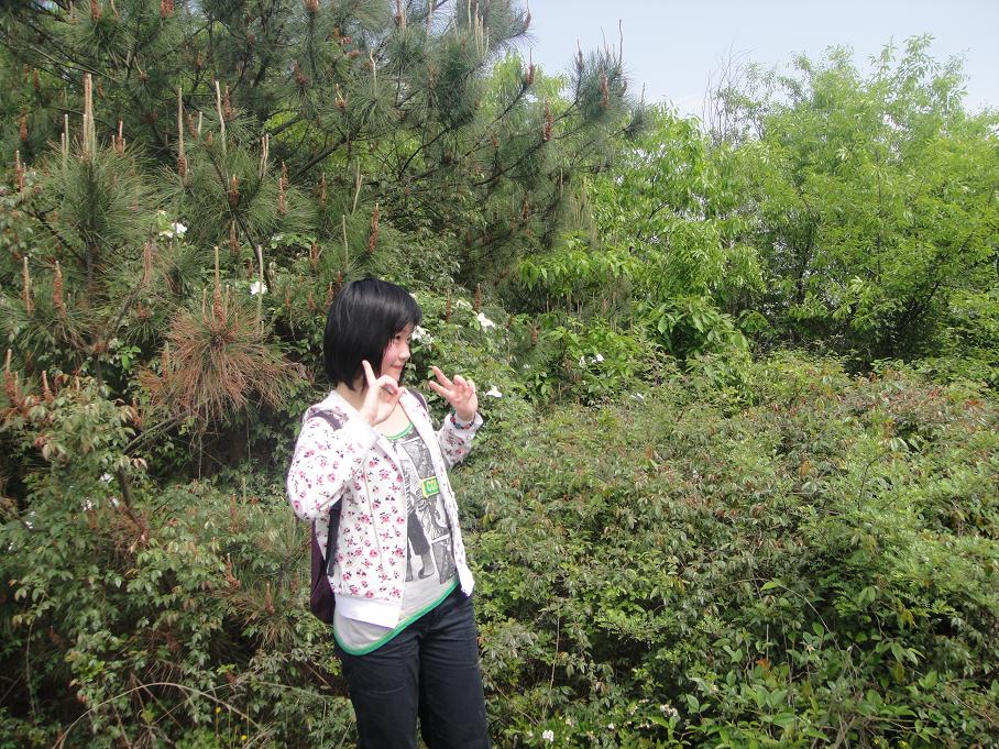 dsc018121.jpg
