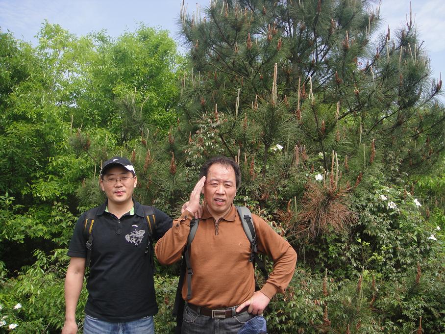 dsc018091.jpg