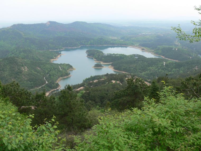 p1100078.jpg