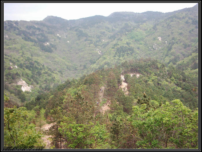 dsci0058.jpg