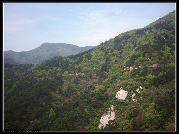dsci0061.jpg