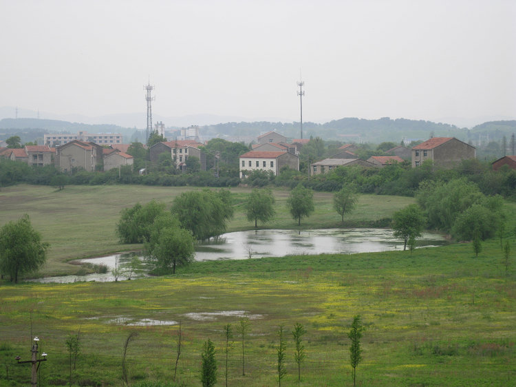 img_0789.jpg