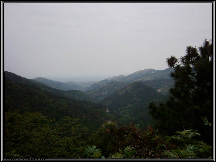 dsci0082.jpg