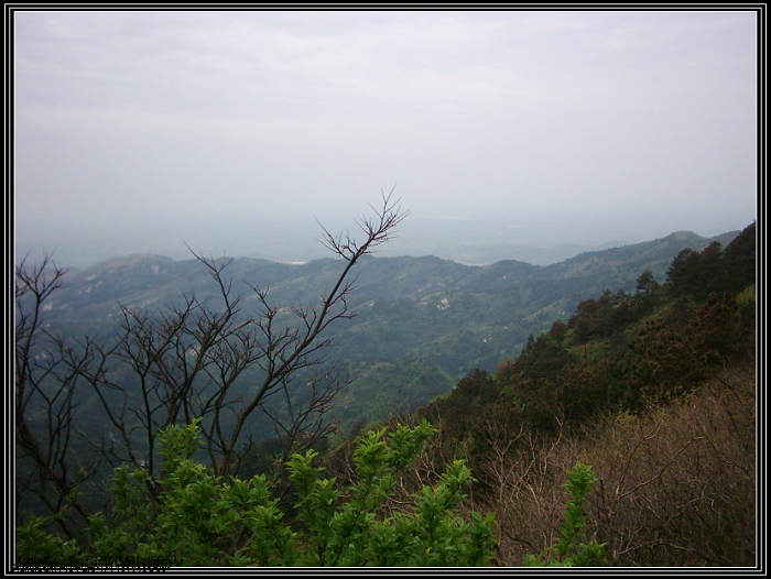 dsci0111.jpg