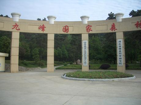 cimg8931.jpg