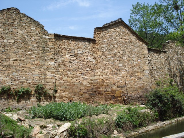 dsc009941.jpg