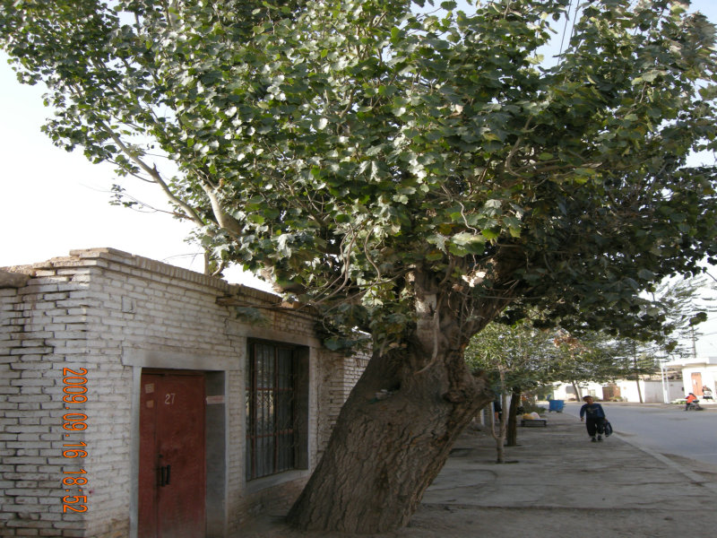 dscn3506.jpg