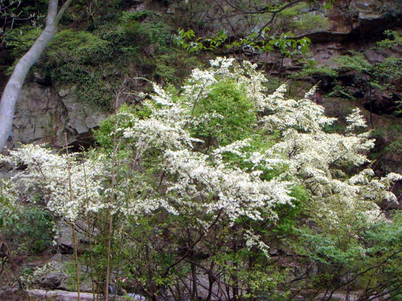 dsc00756.jpg