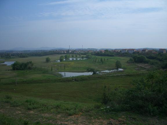 cimg8897.jpg