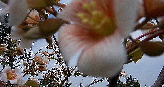 20100424⴩Խ 118_.jpg