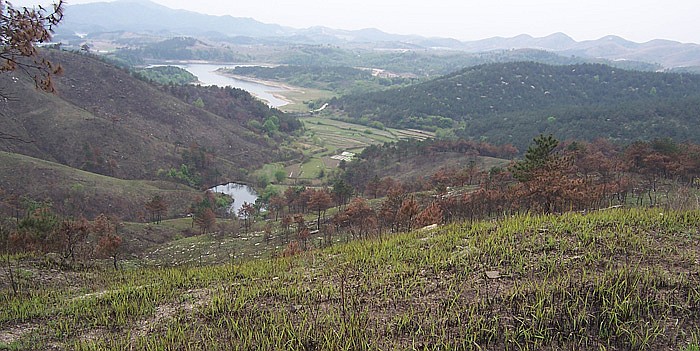 20100424⴩Խ 123_.jpg