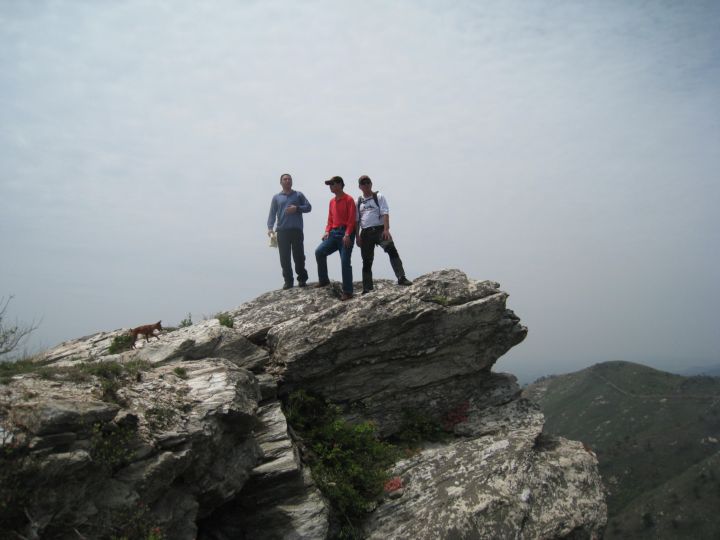 Ƭ 062.jpg