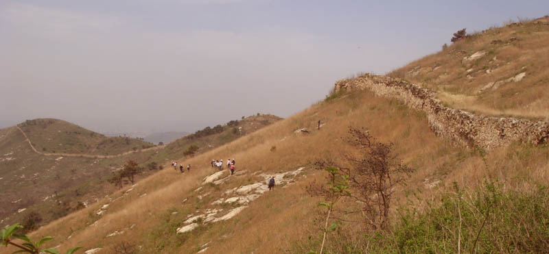 dsc01414.jpg