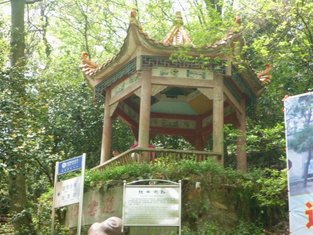 p1000377_.jpg