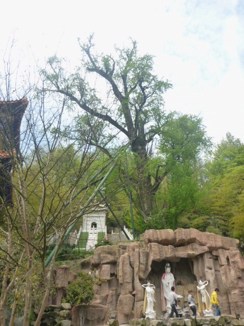 p1000369_.jpg