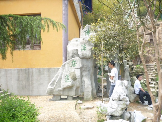 p1000368_.jpg
