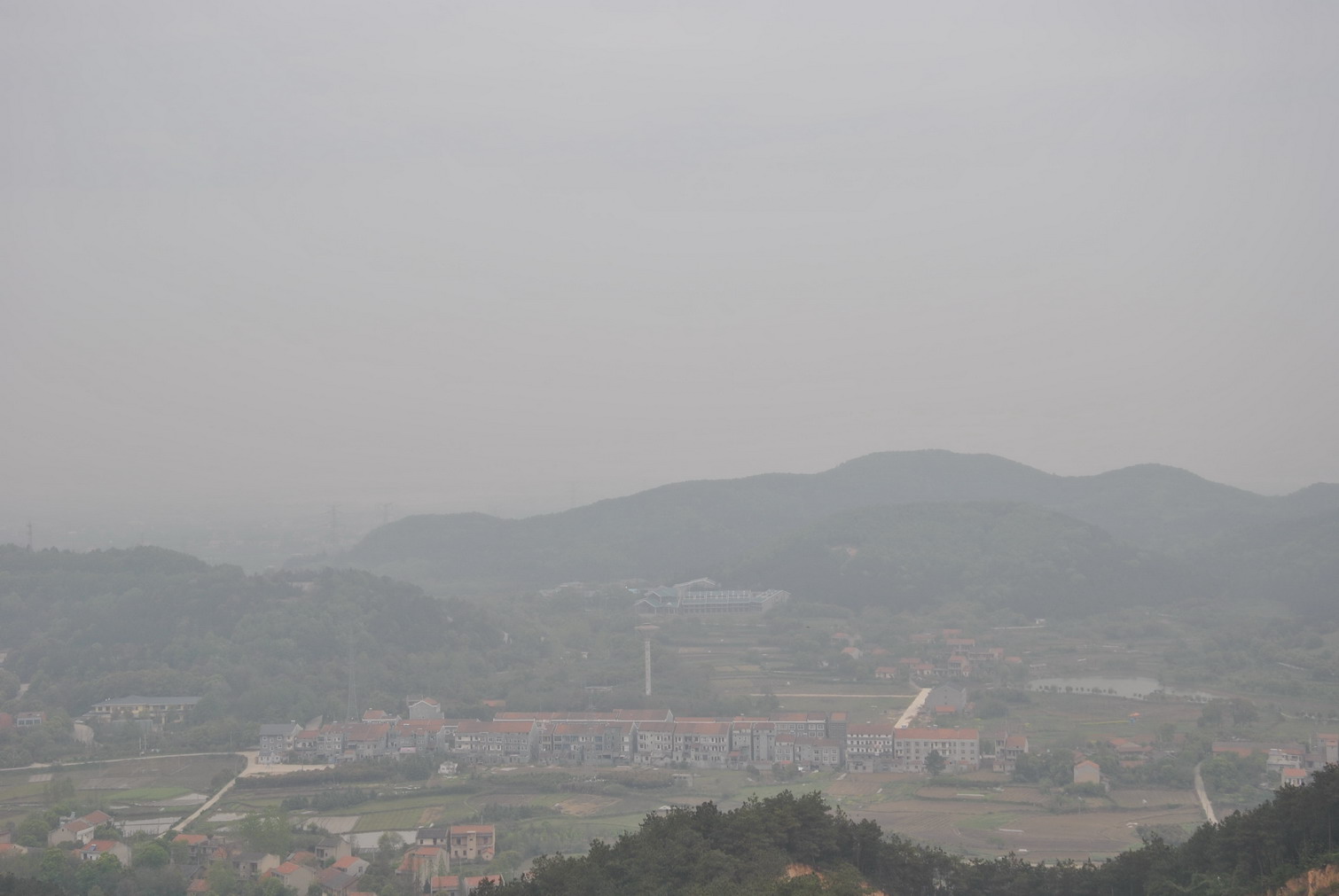 p 001.jpg