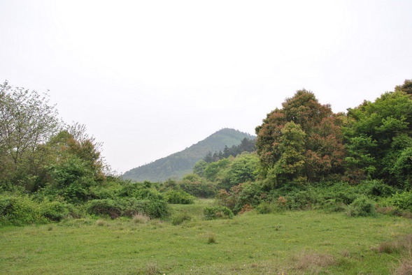 p 021.jpg