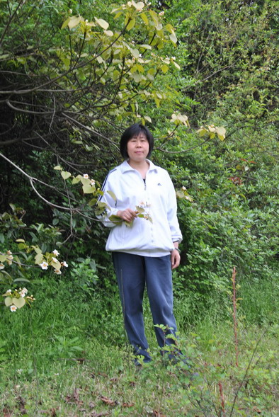p 028.jpg