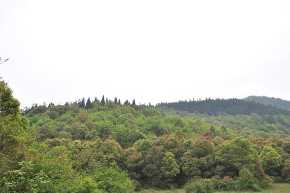 p 030.jpg