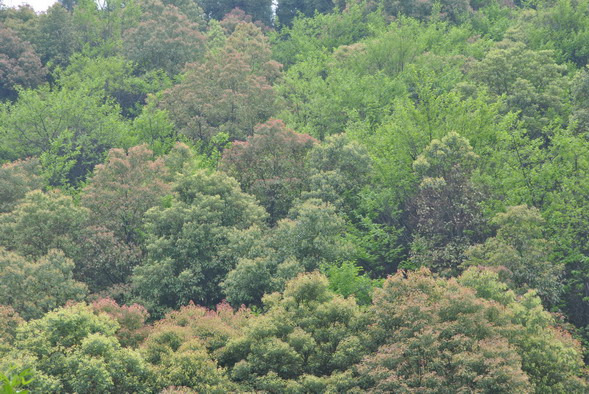 p 032.jpg