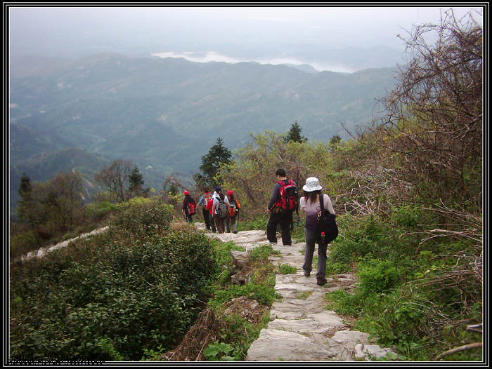 dsci0137.jpg