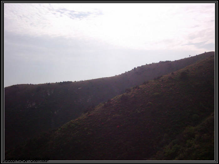 dsci0140.jpg