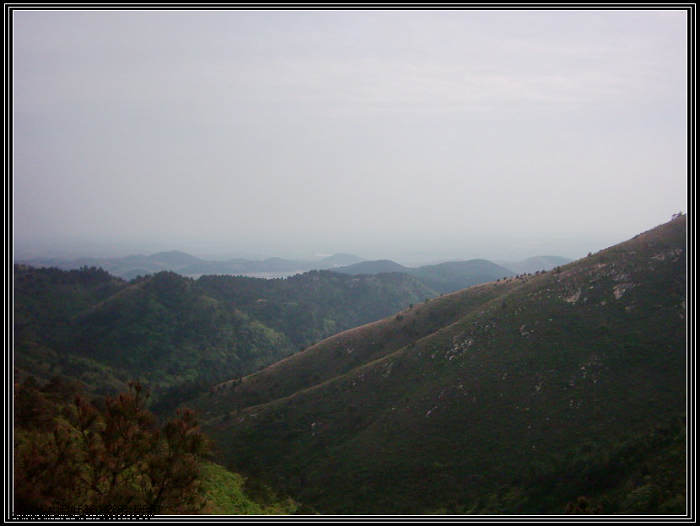 dsci0142.jpg
