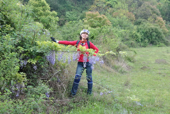 p 046.jpg